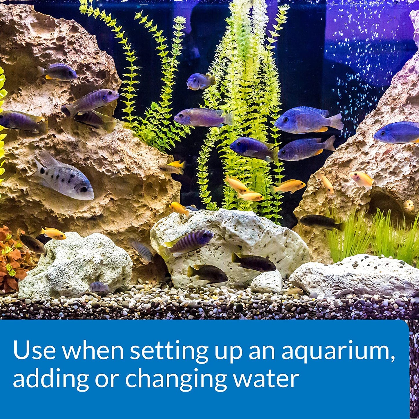 TAP Water Conditioner, Instantly Neutralizes Chlorine, Chloramines and Other Chemicals to Make Tap Water Safe for Fish, Highly Concentrated, Use When Adding or Changing Water and When Adding Fish