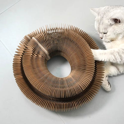 PurrfectScratch Magic Organ Cat Scratching Board – Interactive Claw Grinder & Fun Toy for Cats
