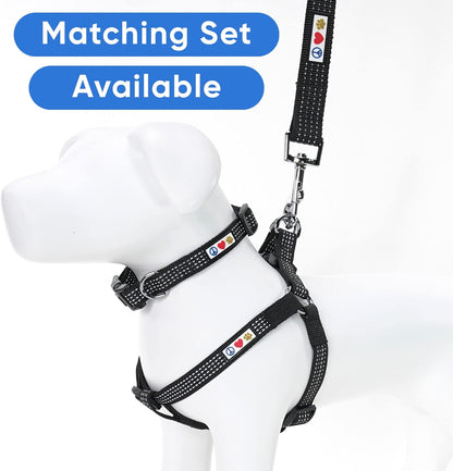 Pet Puppy Leash Reflective Dog Leash Comfortable Handle Highly Reflective Threads Heavy Duty Dog Training Leash Available as a 6 Ft Dog Leash or 4 Ft Dog Leash